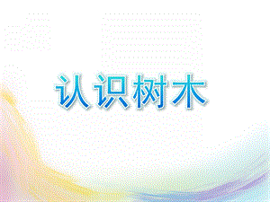 小班科学《认识树木》PPT课件教案认识树木.ppt