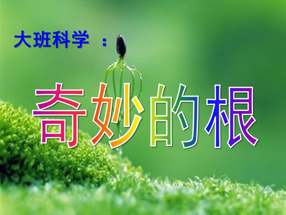 大班科学《奇妙的根》PPT课件教案大班科学：奇妙的根.ppt_第1页