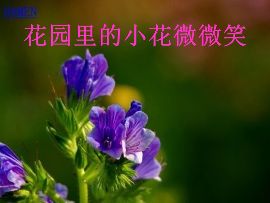 学前班语言《午睡歌》PPT课件ppt课件.ppt_第3页