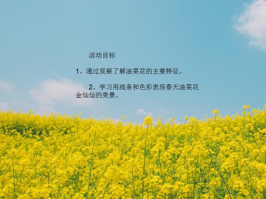 大班美术《美丽的油菜花》PPT课件教案PPT课件.ppt_第2页