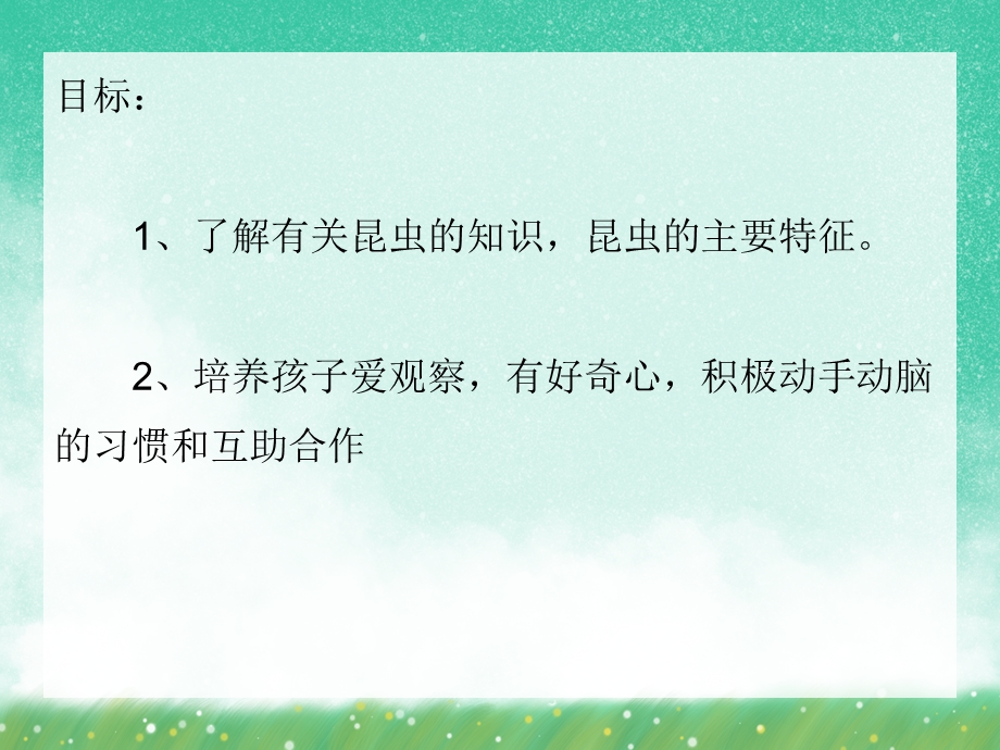 大班科学《虫儿的秘密》PPT课件大班科学《虫儿的秘密》PPT课件.ppt_第2页