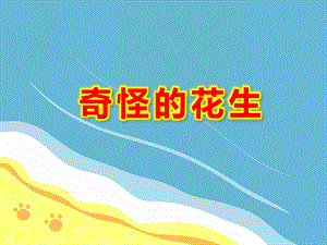 奇怪的花生PPT课件PPT课件.ppt