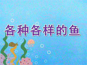 幼儿园综合《各种各样的鱼》PPT课件教案PPT课件.ppt