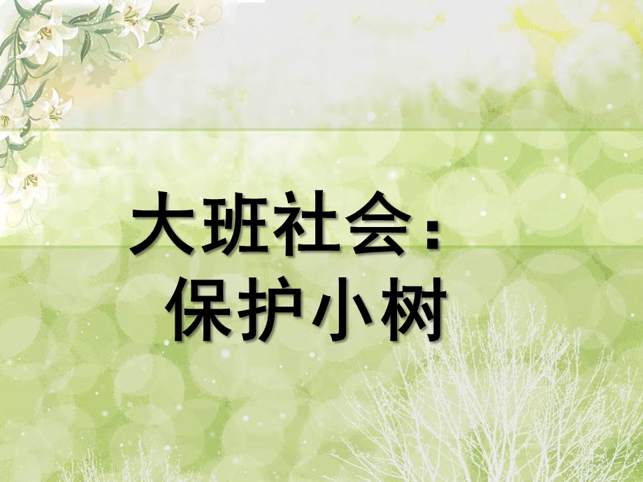 大班社会《保护小树》PPT课件大班社会：保护小树.ppt_第1页