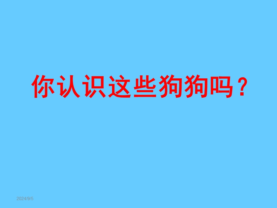 大班主题《狗狗的趣事》PPT课件教案狗的趣事.ppt_第2页