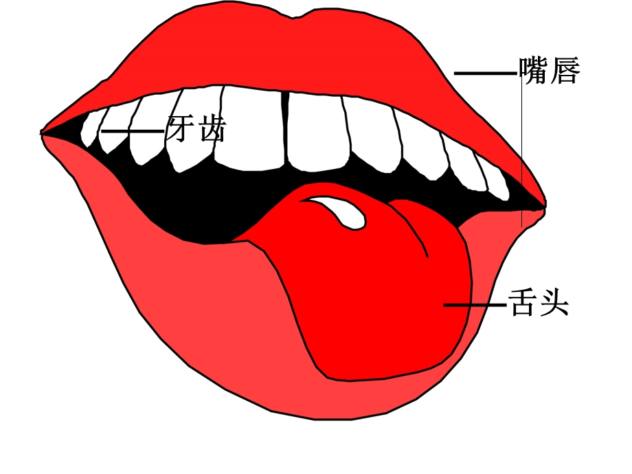 小班主题《鼻子嘴巴》PPT课件小班主题-鼻子-嘴巴-课件.ppt_第3页