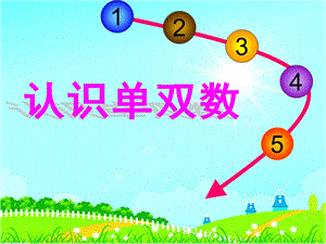 大班数学《10以内单双数》PPT课件教案大班认识10以内单双数.ppt