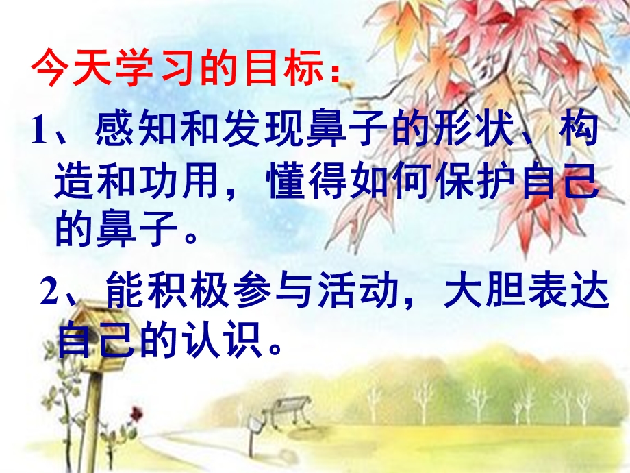 大班《鼻子的故事》PPT课件教案鼻子的故事课件.ppt_第2页