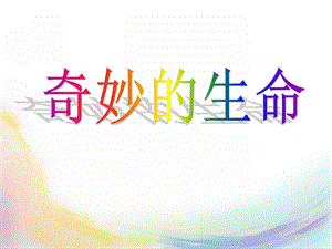 大班科学《奇妙的生命》PPT课件教案奇妙的生命.ppt