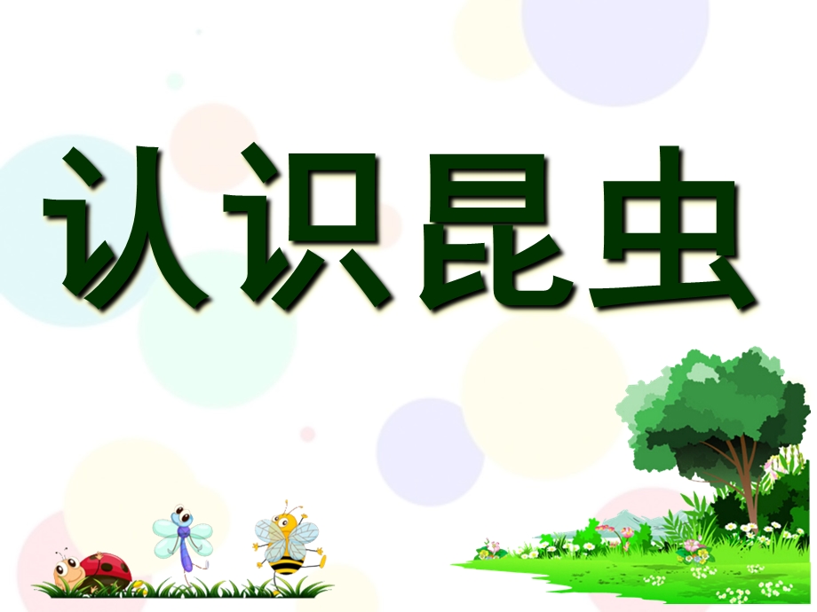 幼小衔接科学《认识昆虫》PPT课件幼小衔接课件科学-认识昆虫.ppt_第1页