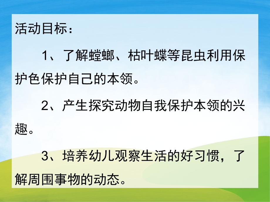 中班科学《会捉迷藏的昆虫》PPT课件教案PPT课件.pptx_第2页