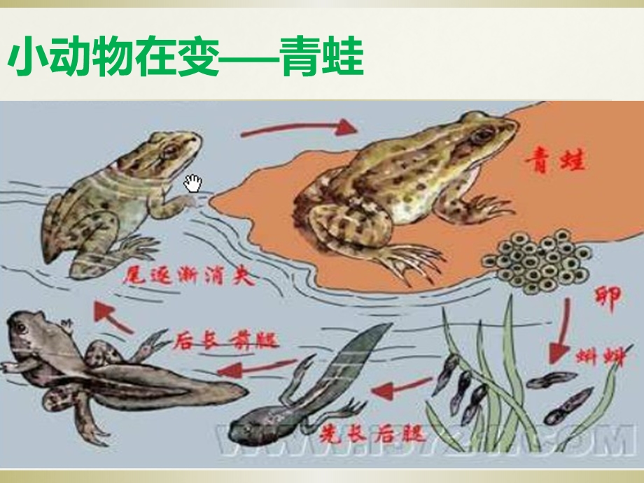 大班社会《一切都在变》PPT课件教案一切都在变.pptx_第3页