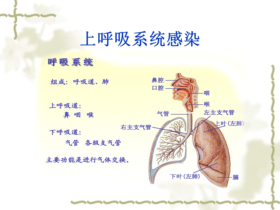 幼儿园常见的传染病PPT课件幼儿园常见传染病---课件.pptx_第2页