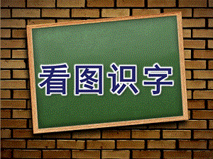 大班语文《看图识字》PPT课件设计幼儿园大班语文教学课件——看图识字.pptx