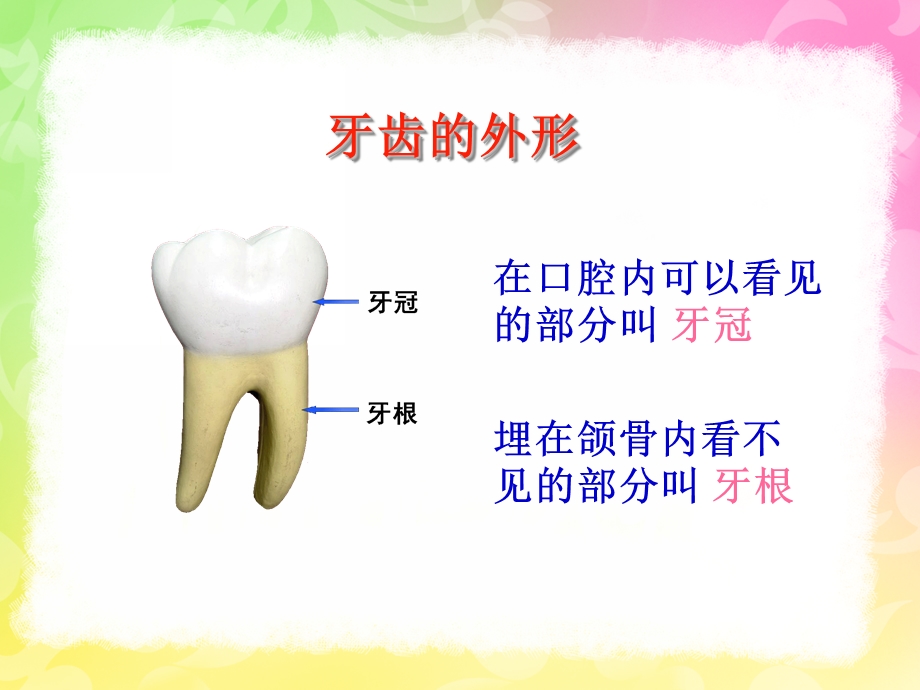 幼儿正确刷牙PPT课件幼儿正确刷牙ppt.pptx_第3页