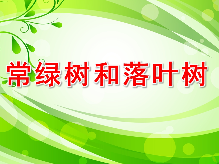 大班科学《常绿树和落叶树》PPT课件教案常绿树和落叶树.pptx_第1页