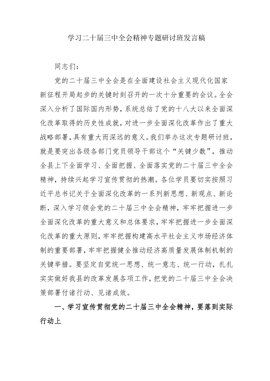 2024年开展《学习二十届三中全会精神》专题研讨班发言稿（5份）_56.docx_第1页