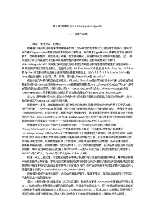 真菌学 根肿菌门.docx