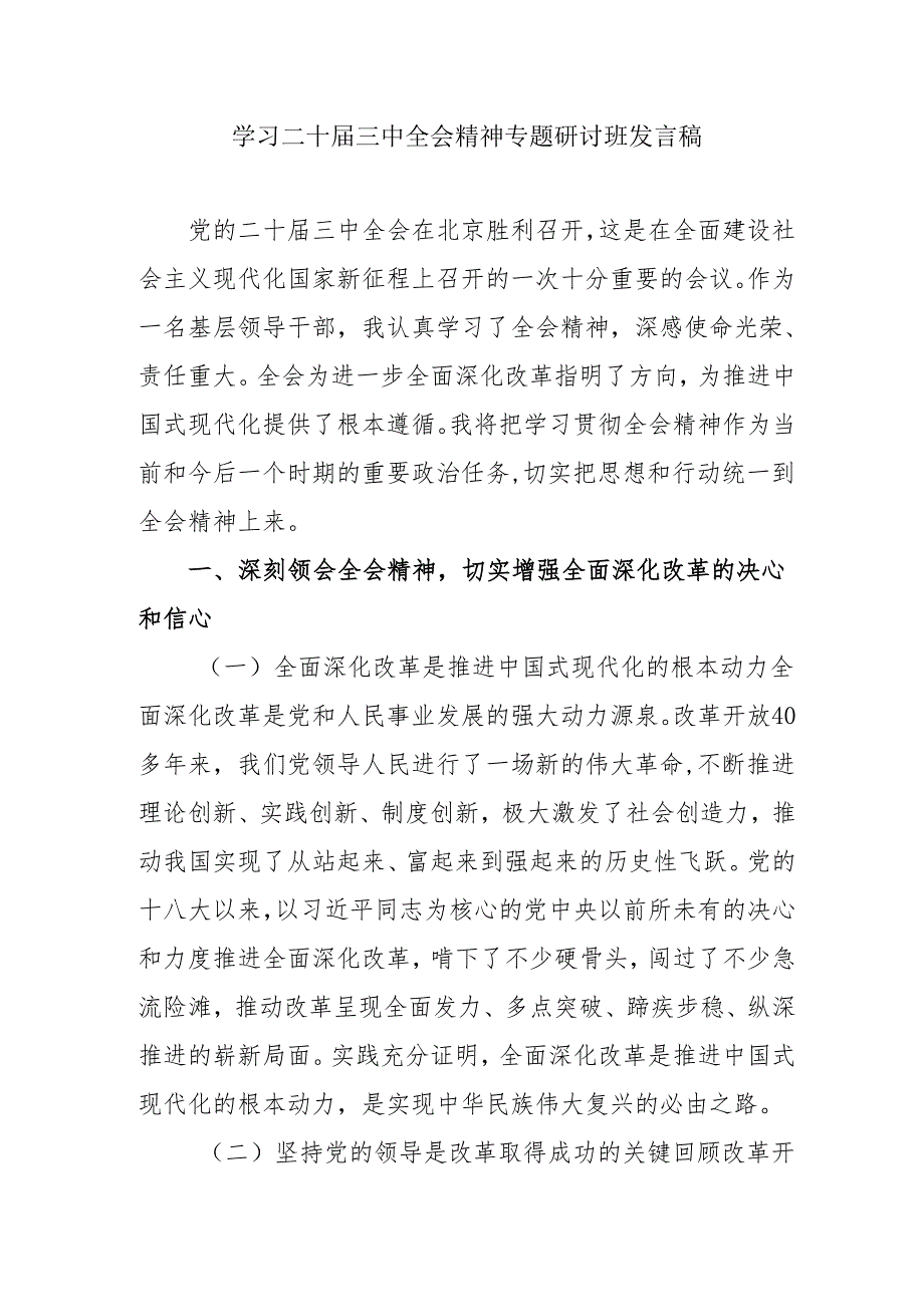 2024年开展《学习二十届三中全会精神》专题研讨班发言稿（5份）_52.docx_第1页