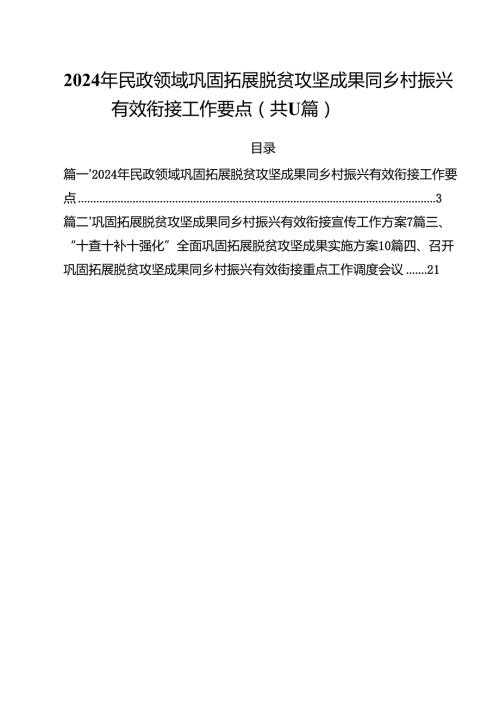 2024年民政领域巩固拓展脱贫攻坚成果同乡村振兴有效衔接工作要点11篇（详细版）.docx