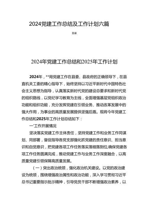 2024党建工作总结及工作计划 六篇.docx