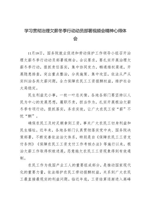 2024年学习治理欠薪冬季行动动员部署视频会精神心得体会感悟.docx