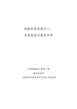 优秀青年突击队申报材料.docx