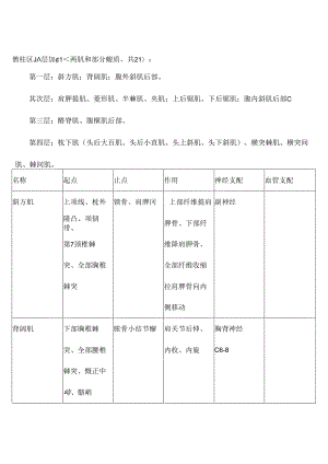 全身肌肉起止点.docx