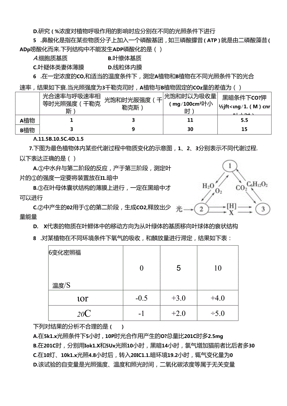 4周3光合作用和细胞呼吸的综合.docx_第2页