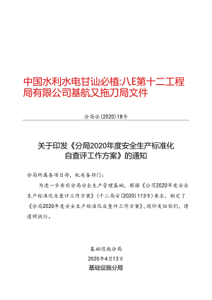 分局安〔2020〕18号关于印发《分局2020年度安全生产标准化自查评工作方案》的通知.docx