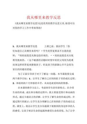 我从哪里来教学反思.docx