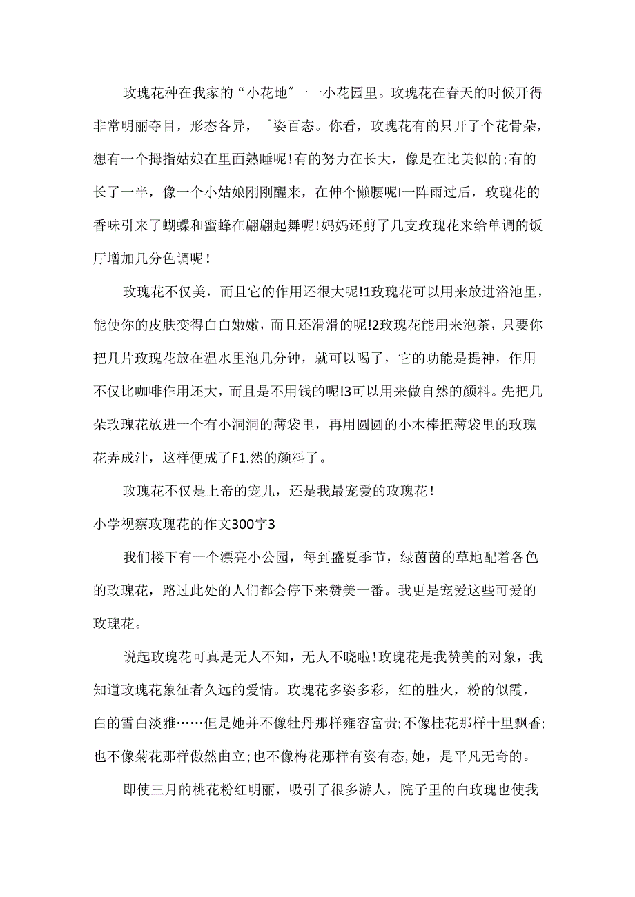 小学观察玫瑰花的作文300字4篇.docx_第2页