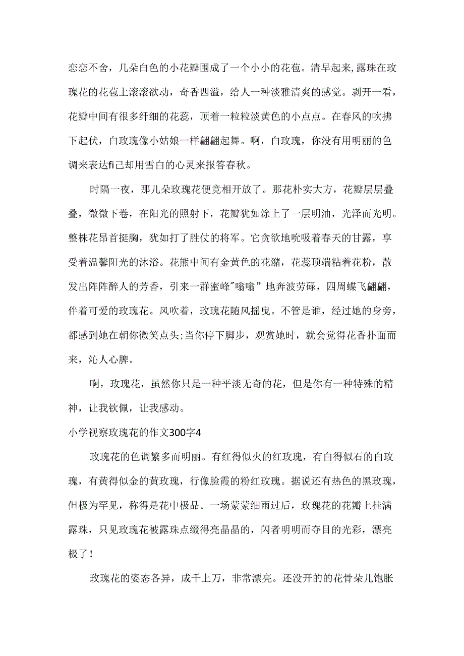 小学观察玫瑰花的作文300字4篇.docx_第3页