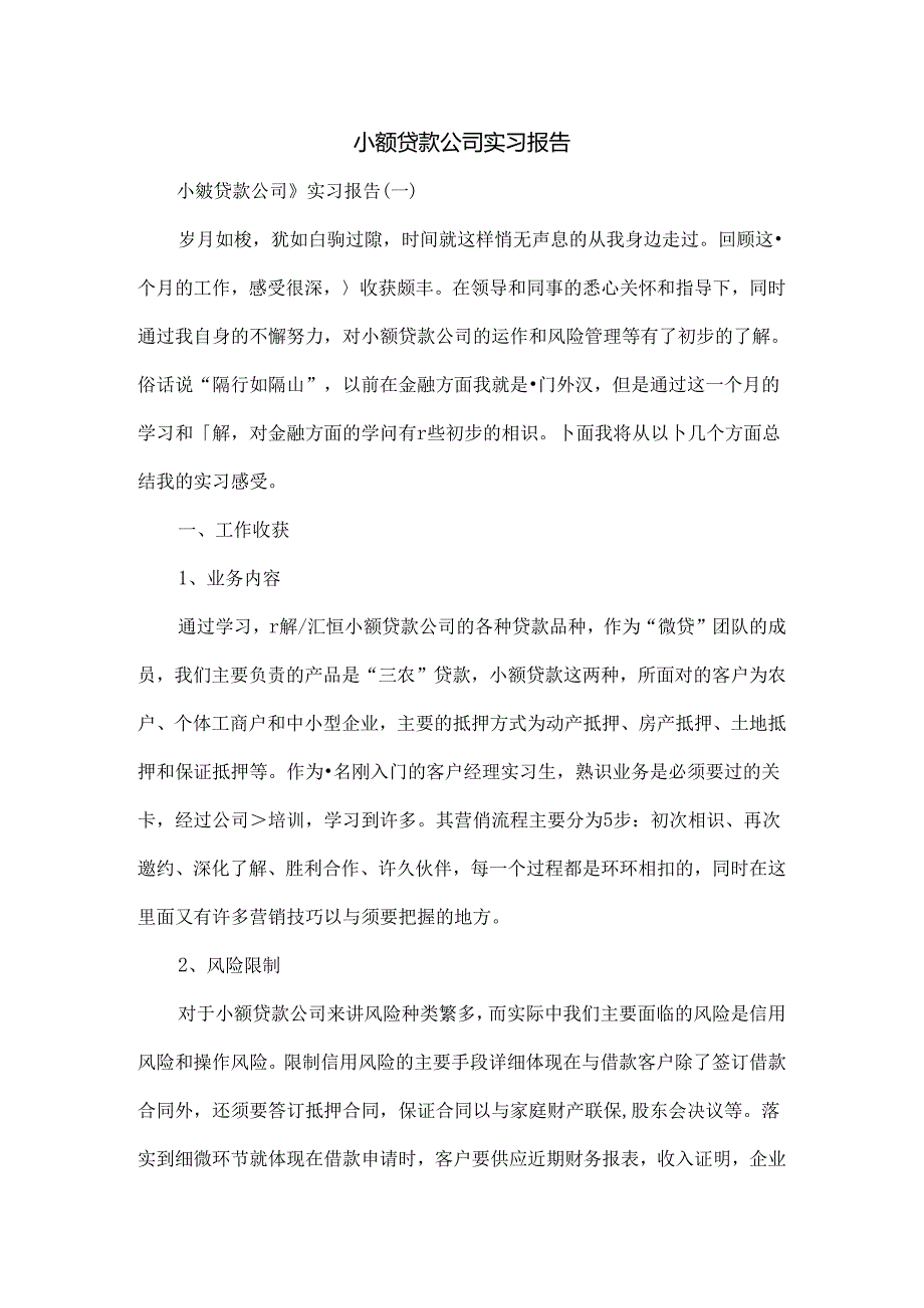 小额贷款公司实习报告.docx_第1页