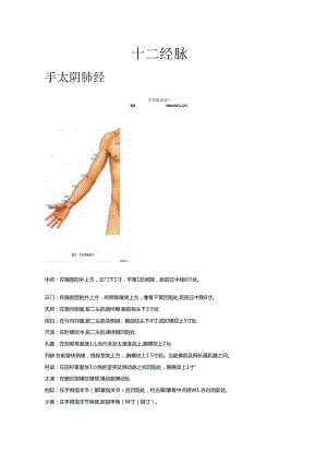 十二经脉穴位定位.docx