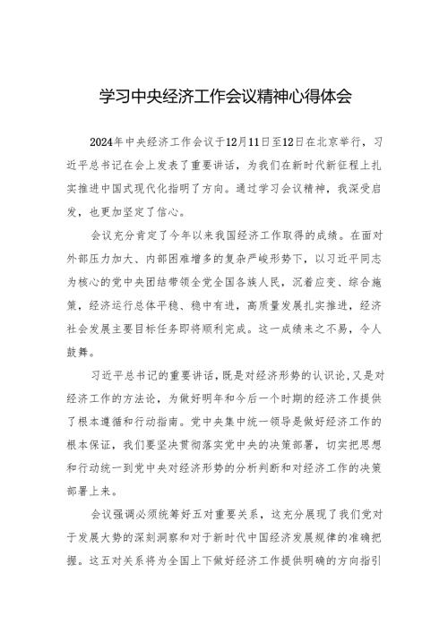 学习2024年中央经济工作会议精神心得体会发言材料11篇.docx