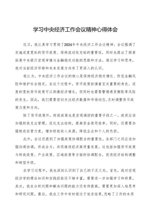 学习2024年中央经济工作会议心得体会发言稿十篇.docx