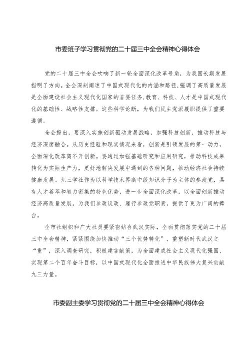 市委班子学习贯彻党的二十届三中全会精神心得体会7篇（详细版）.docx