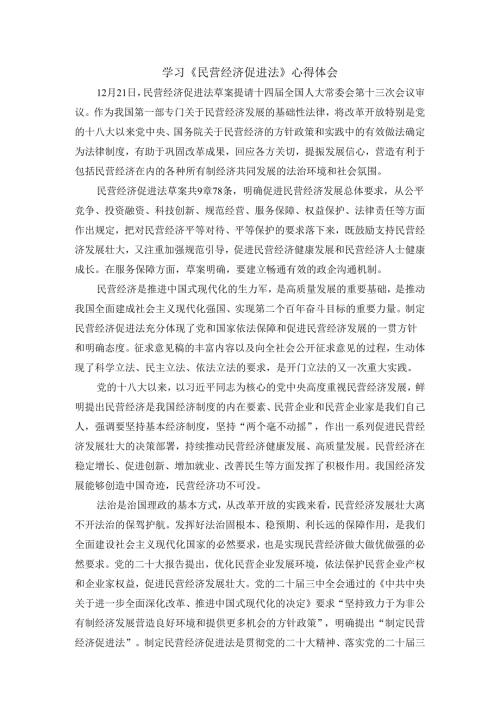 学习《民营经济促进法》心得体会二.docx