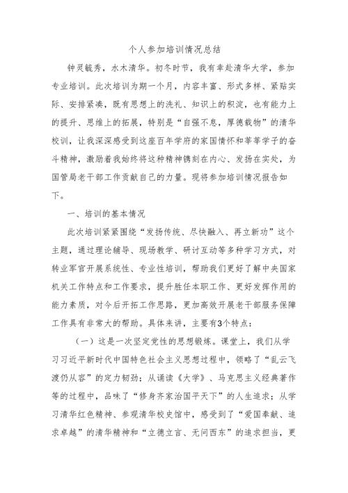 个人参加培训情况总结.docx