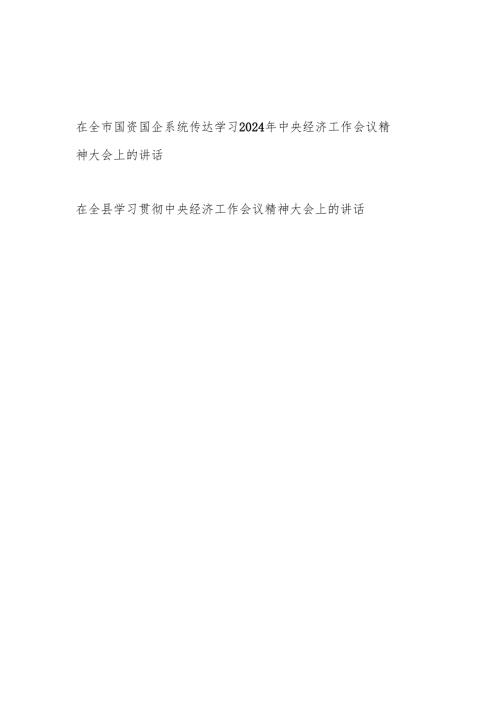 学习贯彻传达2024年12月中央经济工作会议精神大会上的讲话发言2篇.docx