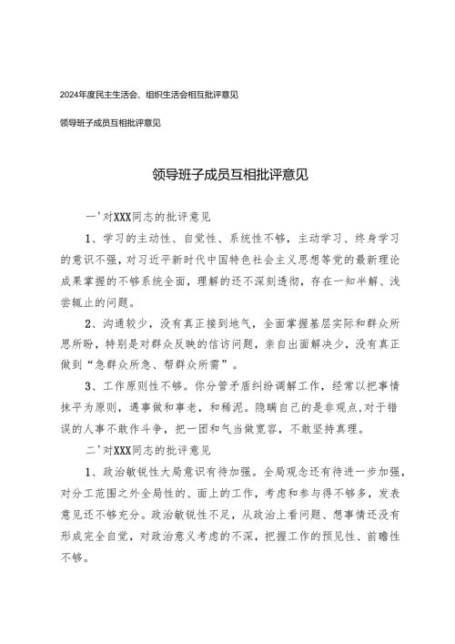 2024年度民主生活会、组织生活会相互批评意见领导班子成员互相批评意见.docx