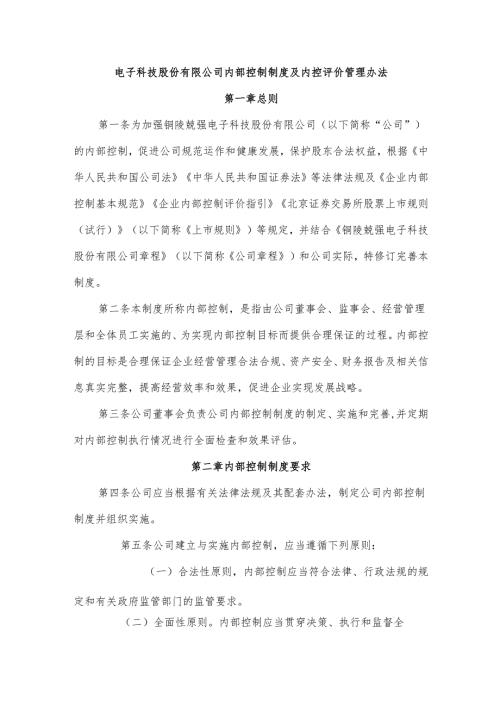 电子科技股份有限公司内部控制制度及内控评价管理办法.docx