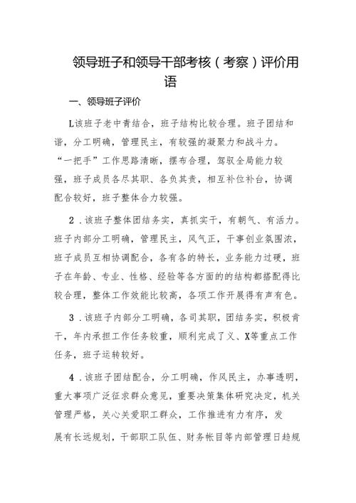 领导班子和领导干部考核（考察）评价用语.docx