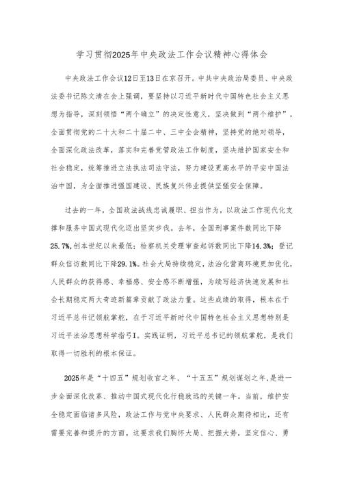 学习贯彻2025年中央政法工作会议精神心得体会.docx